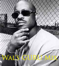 Wal's tribute to Guru mix-FREE Download!